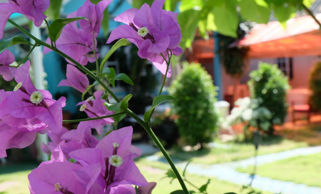 Rawai Blue Paradise Residence מראה חיצוני תמונה